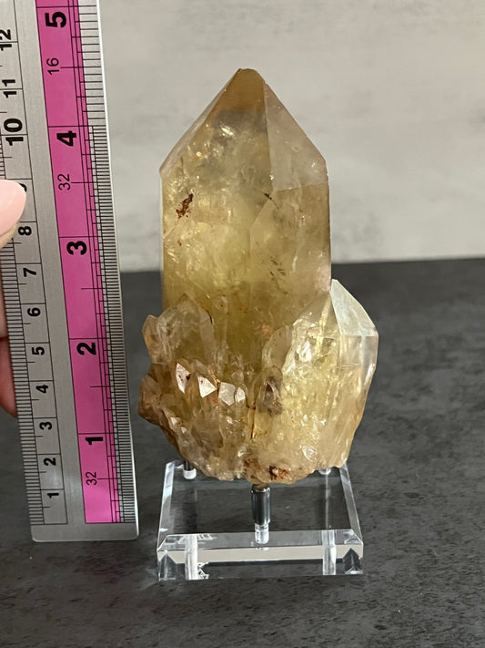 Kundalini Citrine on Stand