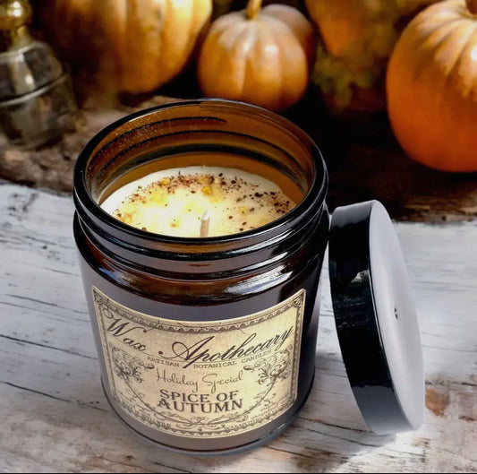 Spice of Autumn Candle  6 oz
