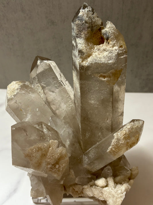 Smokey Cluster w/ Rutile in Point