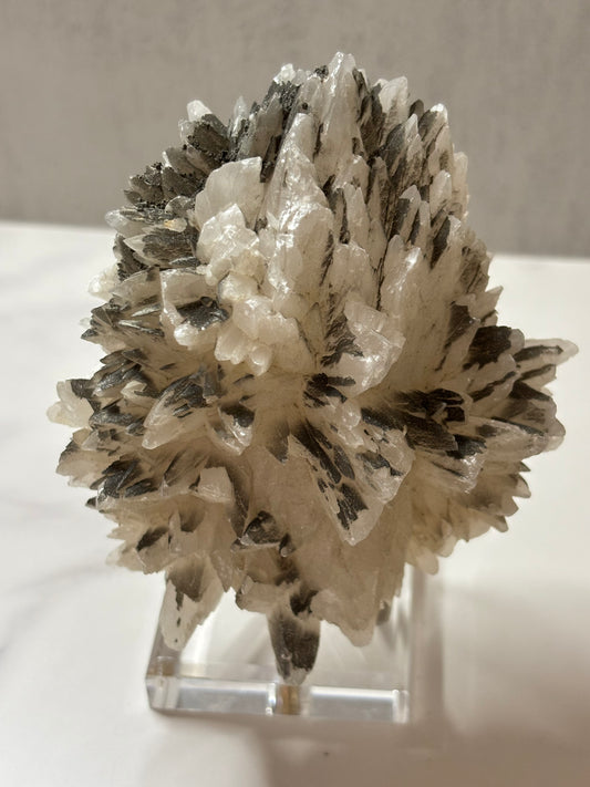 Dogtooth Calcite