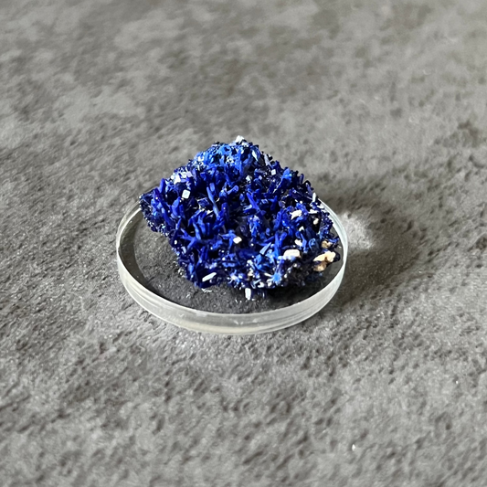 Azurite Needle Cluster
