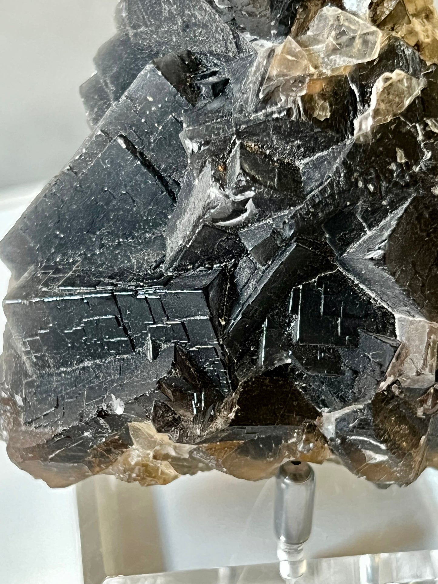 Black Rose Fluorite