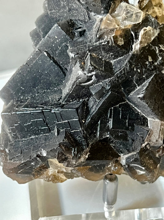 Black Rose Fluorite