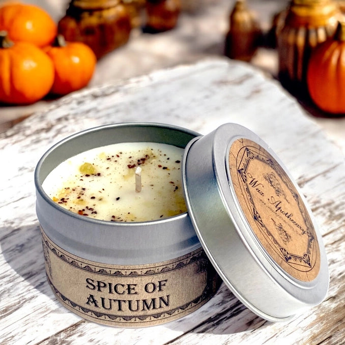 Spice of Autumn 4 oz Travel Tin