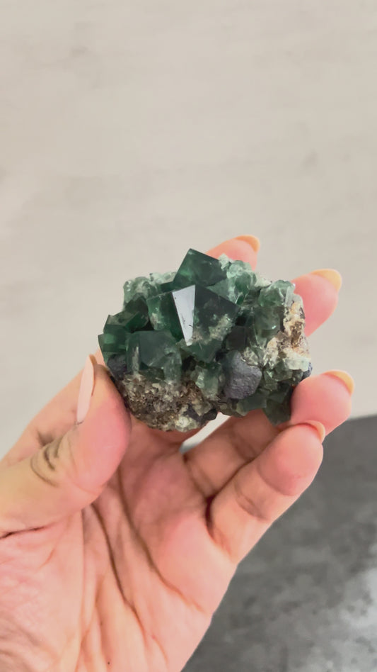 Fluorite w/ Galena (b)