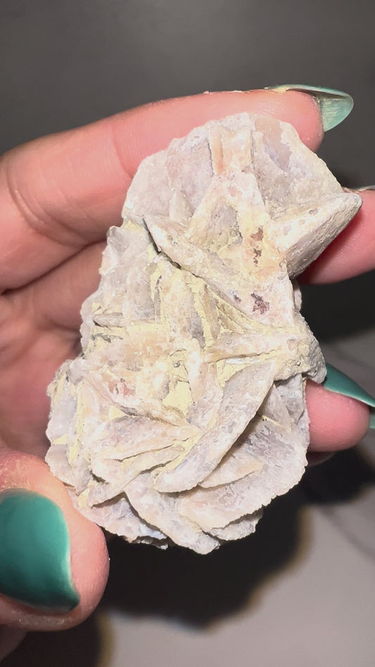 Chalcedony after Selenite